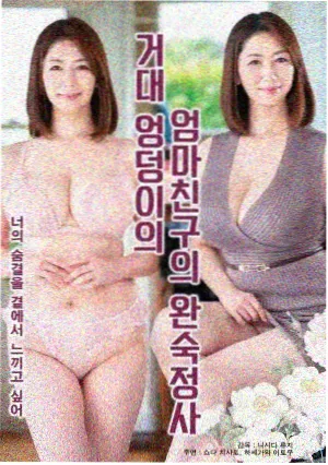 韩国律政剧无声证词海报
